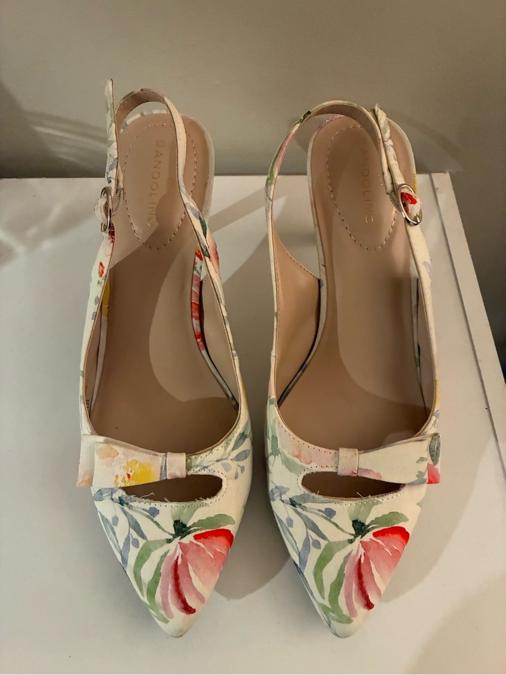 Multicolor Pointed-Toe Slingback Pumps